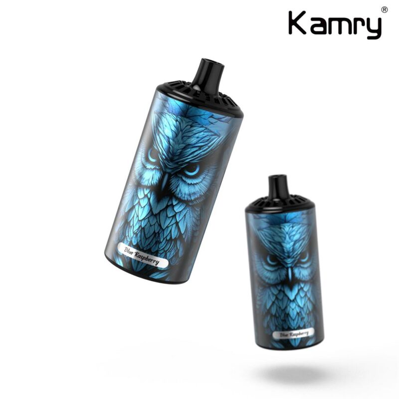 Kamry Boss 10000 Puffs Vape Blue raspberry