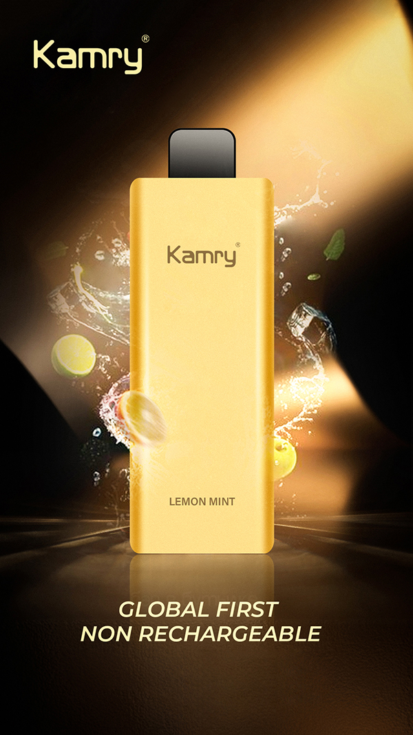 Kamry K8 6000 Diagrama de escena